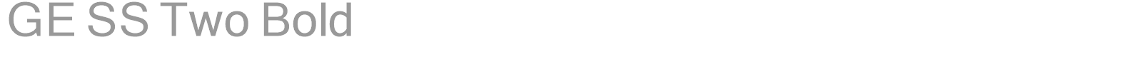 GE SS Two Bold font preview